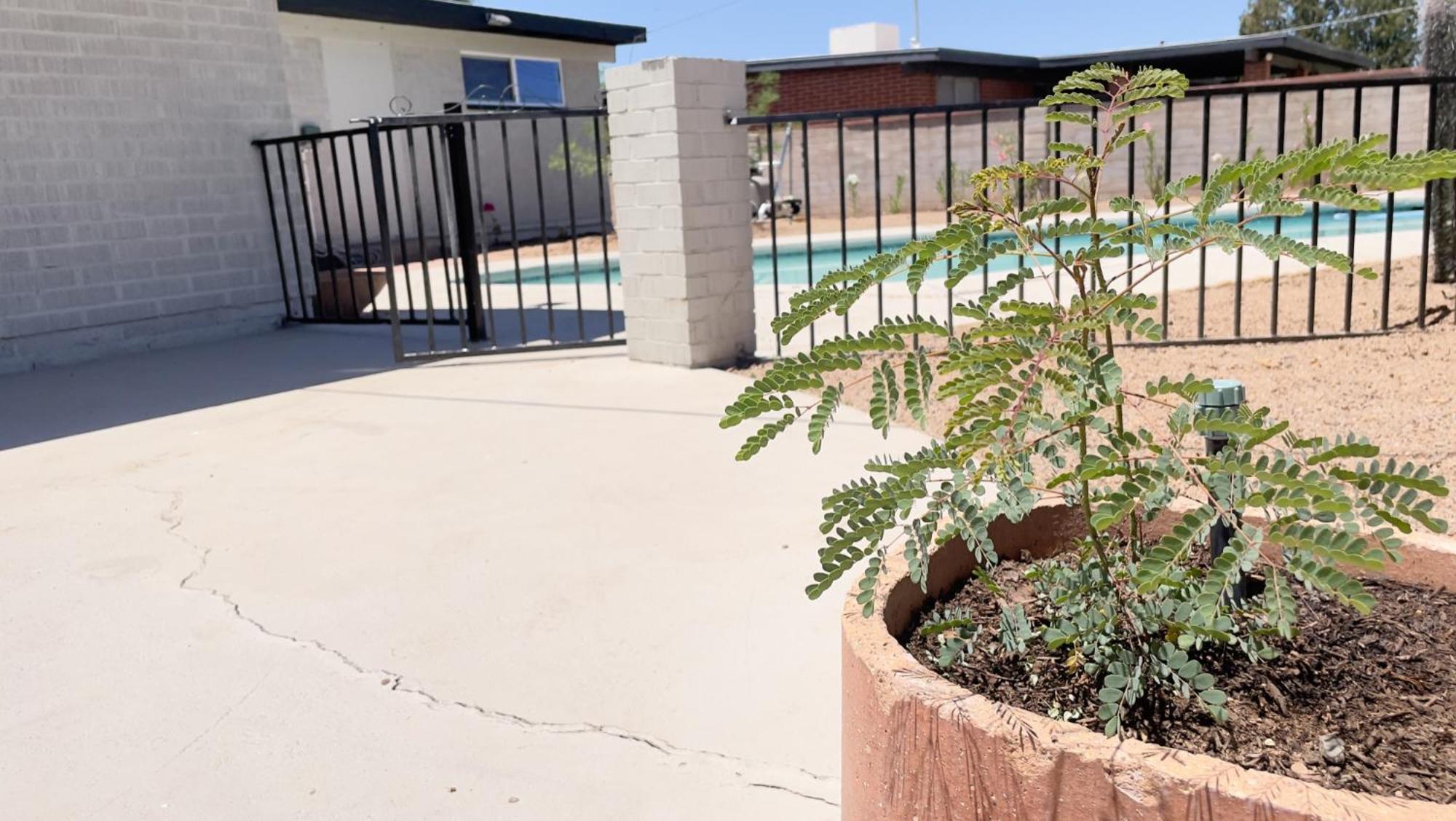 Private Home - Heated Pool, Billiards, Darts, Foosball, Fireplace, 5 Smart Tvs, Bbq, Cotton Bedding - The Saguaro Sanctuary, Pool Heat Optional Tucson Dış mekan fotoğraf